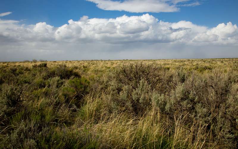 Open sagebrush prairie under big clouds in the high desert