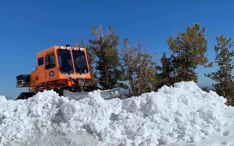High Desert's orange snowcat behind a snowbank under pine trees and a clear blue sky
