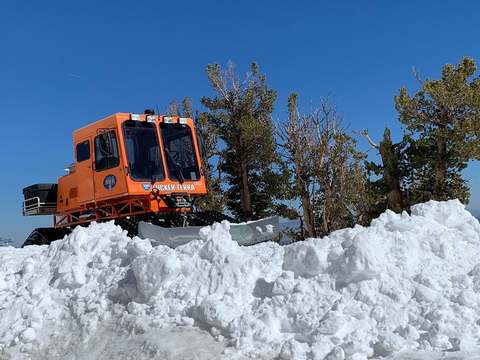 High Desert's orange snowcat behind a snowbank under pine trees and a clear blue sky